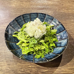 春菊とパクチーサラダ