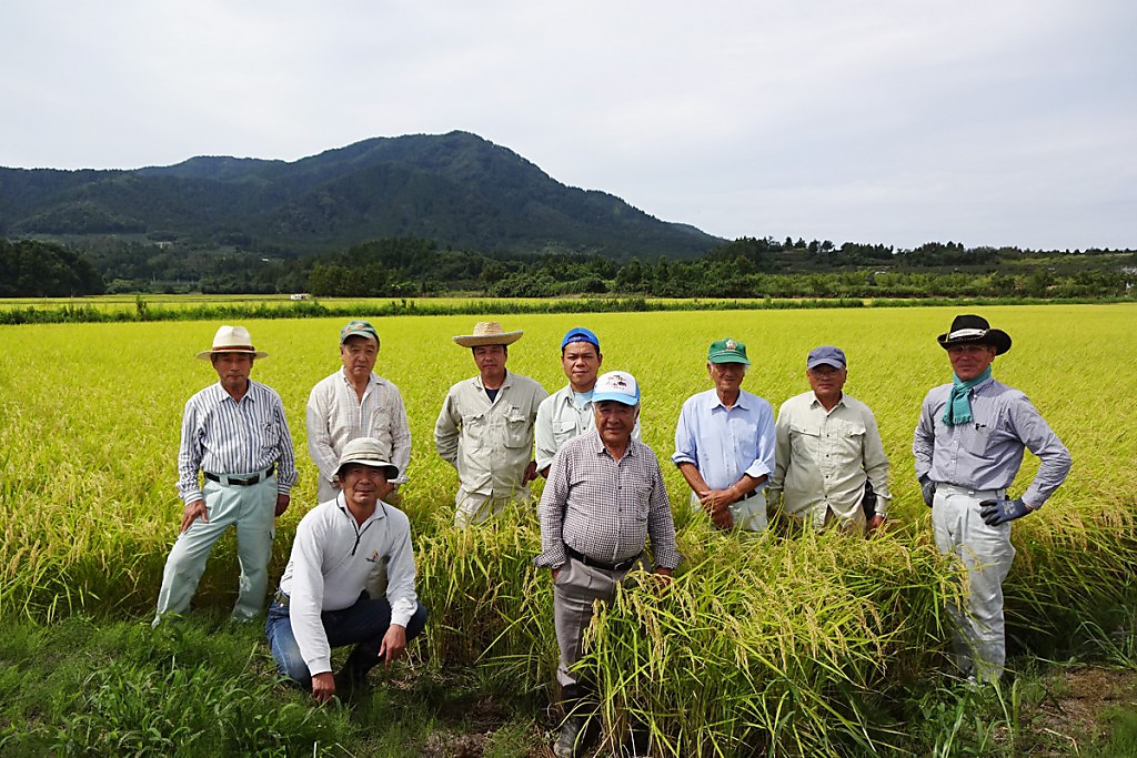 【提携農家（よつばフード様）】燕市の提携農家様から届くコシヒカリや地野菜は絶品です。