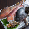 山陰鮮魚と串焼き 神崎のおすすめポイント1