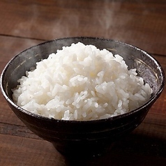 白ご飯(中)