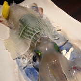 博多 酒佳蔵のおすすめ料理3