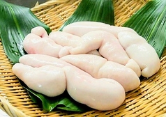 活ふぐ　白子(冬季限定)