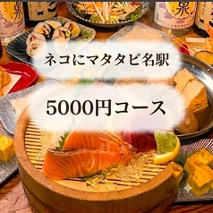 ネコにマタタビ名駅店のコース写真