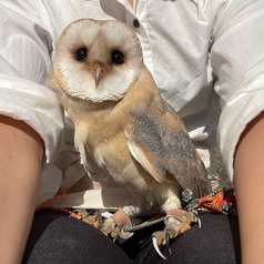 Cat&Animal Cafe Noah s Ark ノアズアーク 大阪天神橋3丁目店の特集写真