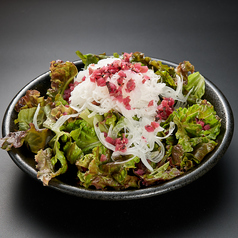 カリカリ梅と大根のサラダ