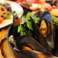 料理メニュー写真 ムール貝のアクアパッツァ