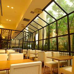 開放感あふれる明るいお席で、普段とはひと味違うお食事の時間をお楽しみください◎