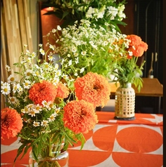 PIZZO ピッツォのコース写真