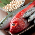 【産地直送鮮魚】五島列島・築地場内から鮮度のいい・市場では出回らない珍しいお魚も届けられてきます！
