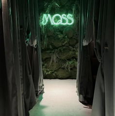 MOSS Cafe&Bar Shishaの特集写真