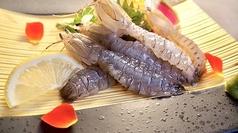 シャコ造り