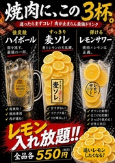 強炭酸ハイボール/すっきり麦ソレ/弾けるレモンサワー