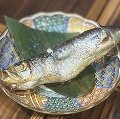 とろ鰯串
