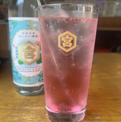 バイス入れ放題！自分好みに育てる名物カムラサワー