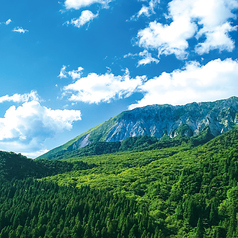 名峰大山の自然と天然水。日本四名山に数えられる大山。豊かな自然環境がもたらす澄んだ空気や滋養豊富な天然水はまさに大山の恵み。