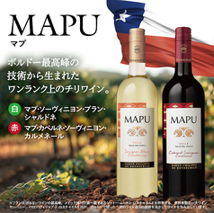 MAPU (赤) （白）グラス