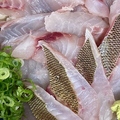 料理メニュー写真 【期間限定】柏島の夏のお魚　イサキ丼