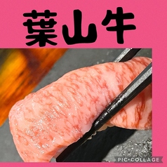 三浦の台所 哲 横須賀中央のコース写真