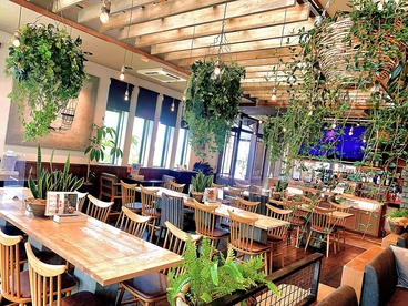 FARMERS GARDEN Cafe ファーマーズガーデンカフェ オムレットの雰囲気1