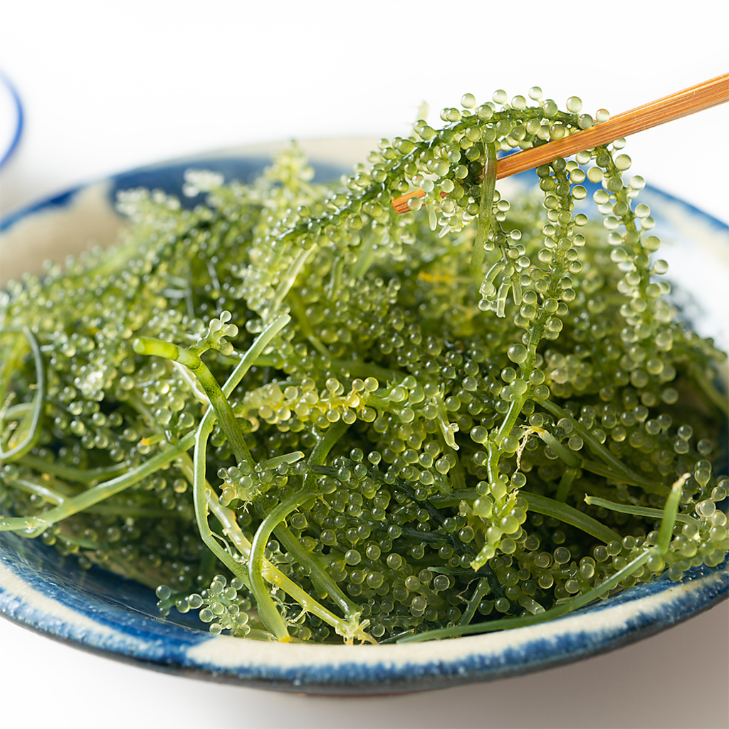 ＜沖縄酒場 げん 市ヶ谷店＞