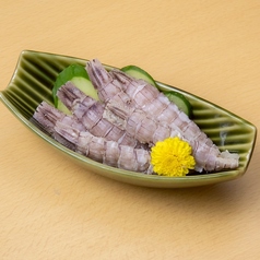 シャコ酢