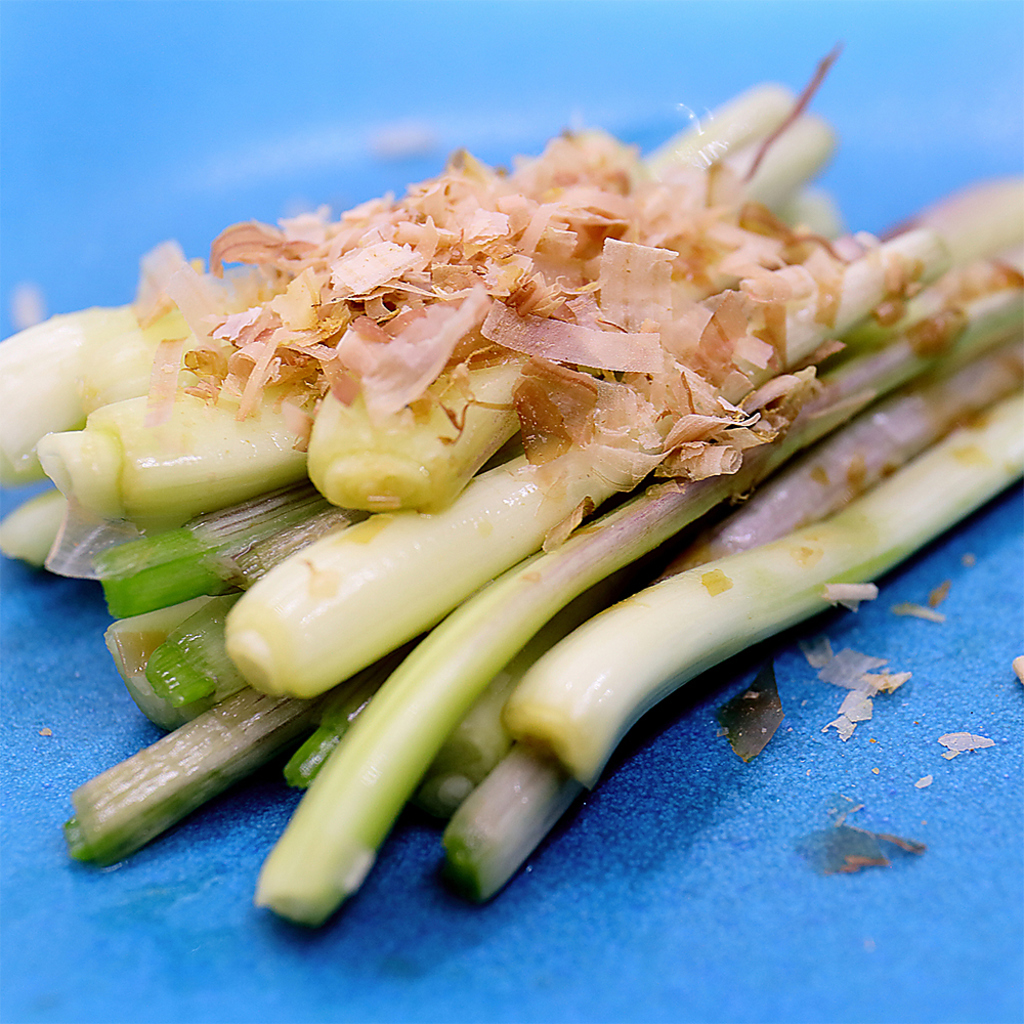 ＜沖縄酒場 げん 市ヶ谷店＞