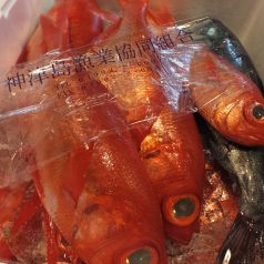 市場から仕入れる鮮魚をお安く提供、もちろん味は絶品！