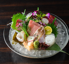 魚バカが刺す 本日の水揚げ
