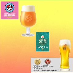 9月限定ビール【ブルックリン・パルプアートヘイジー・IPA】【スプリングバレー・ジャパンエール】