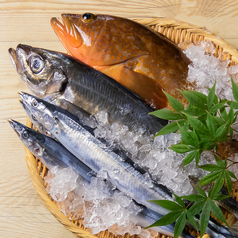 秋さんま含む旬魚のお造り盛り合わせ