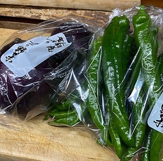 【夏季・秋季】京野菜、賀茂茄子と万願寺甘唐辛子