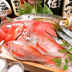 魚の旨いよろこんで　倉敷駅前本店の写真2