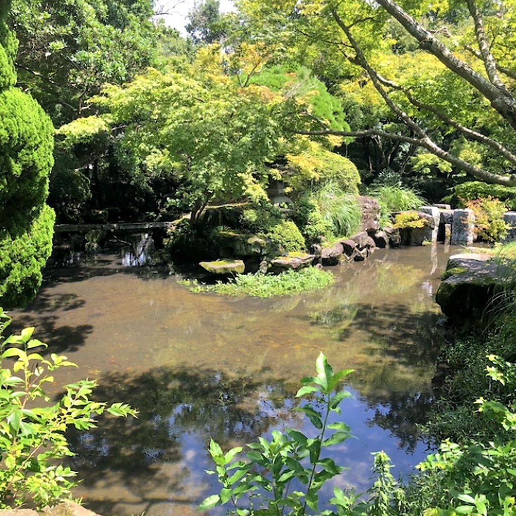 店内の庭園は借景庭園となっており、整備された美しい景色が広がっています。四季折々の風景を是非。