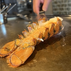 オマール海老(テール)