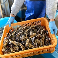 食べ放題 牡蠣小屋 かき太鼓 広島駅前店の特集写真