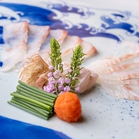 おまかせコースで味わう至高の食体験