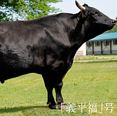 個室焼肉ichiのおすすめ料理2