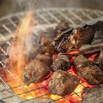 名物ゴロ焼きは食べたら絶対ハマる！炭火で燻製・炙られたジューシーな地鶏はお酒との相性も抜群！