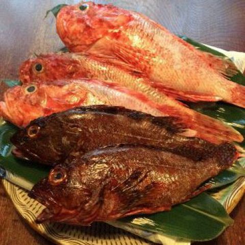 九州郷土料理 赤坂有薫 あかさかゆうくん 居酒屋 のメニュー ホットペッパーグルメ