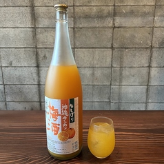 たんかん梅酒