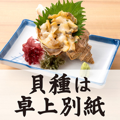 本日入荷 貝刺単品