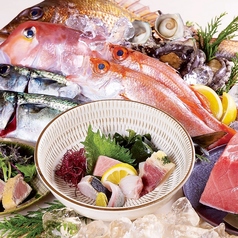 旬の鮮魚ともつ鍋 博多やまやの特集写真