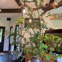 m cafe エムカフェの雰囲気2