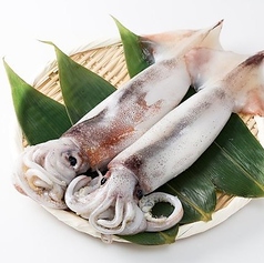 スルメイカの浜焼き