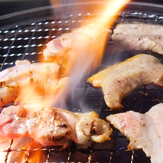 焼肉 蔵 アピタ松任店の特集写真