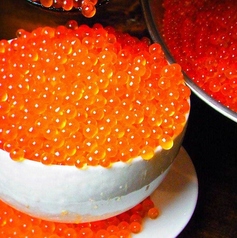 こぼれイクラ丼