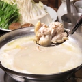 料理メニュー写真 博多地鶏水炊き