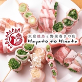 東京焼鳥と野菜巻きの店 Hayato to Hinata