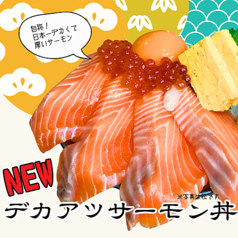 デカアツサーモン丼【竹】