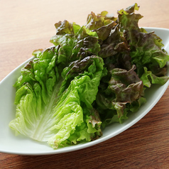 肉巻きレタス
